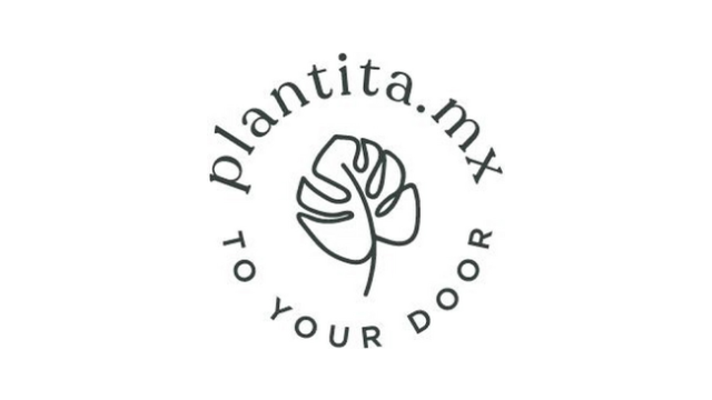 Plantita MX