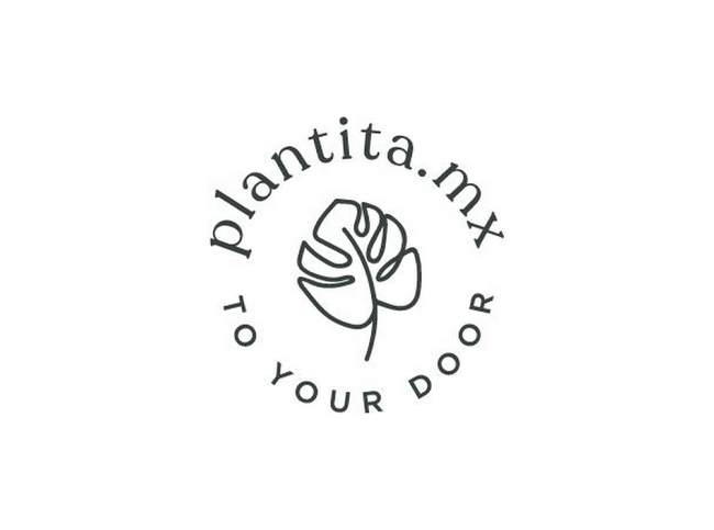 Plantita MX