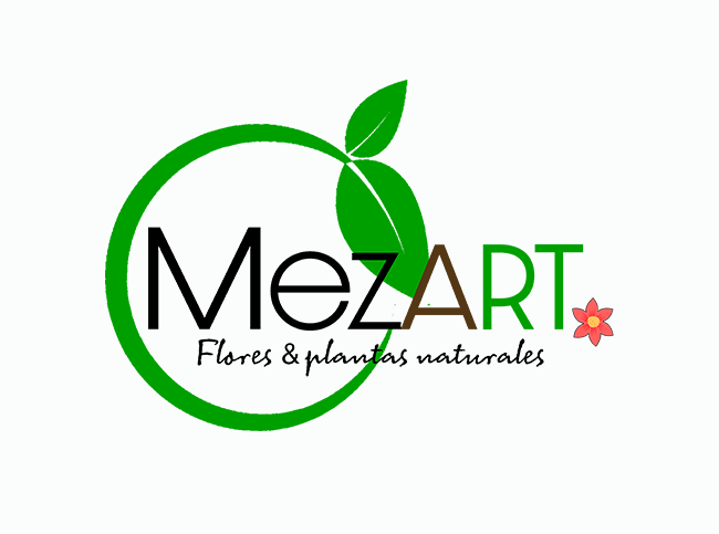 Mezart | Flores y plantas naturales