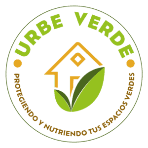 Imagen de Una plantula en crecimiento