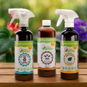 Kit para anturios y violetas africanas