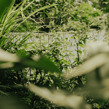 Urbe-Verde-Tienda-en-linea-3